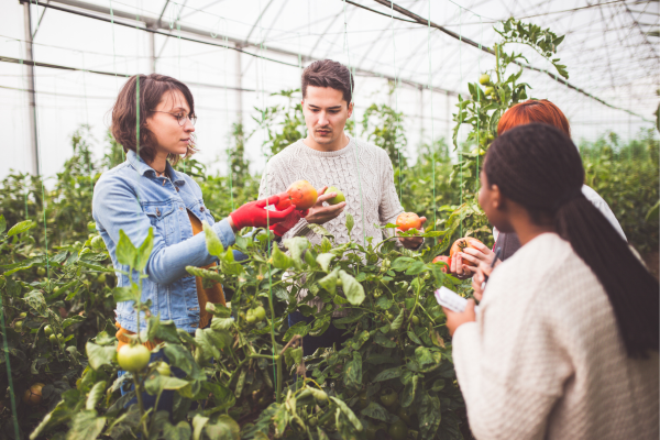 pulleys in agriculture