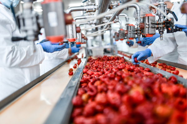 pulleys for food processing