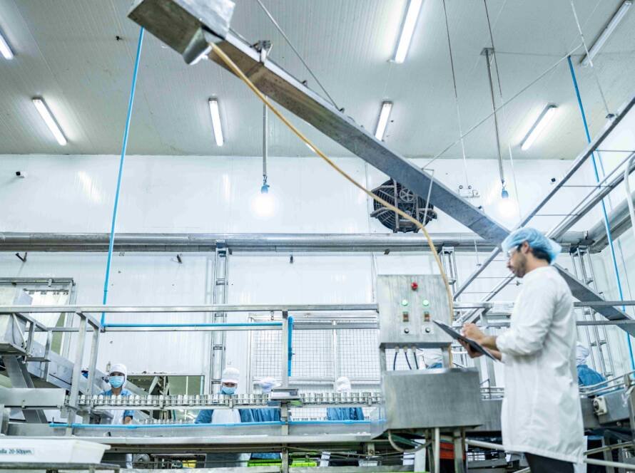 pulleys for food processing